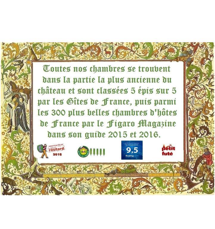 Chateau De Peufeilhoux Vallon-en-Sully Esterno foto